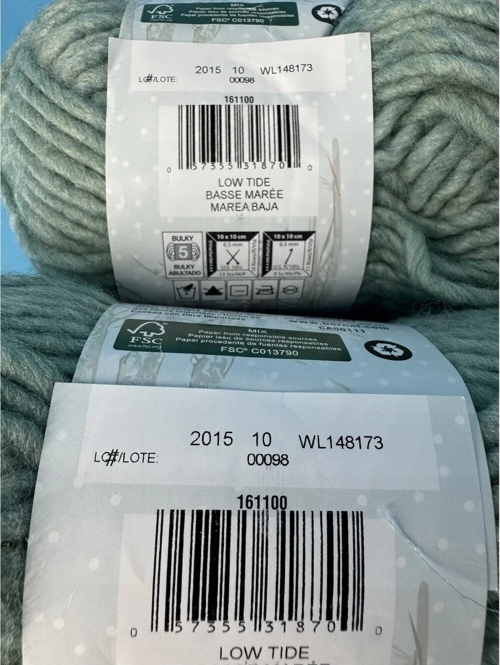 Bernat Roving Yarn Lot of 2 Low Tide Bulky #5 Same Dye Lot WL148173 Knit Crochet